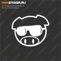 Свинка Subaru в очках