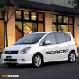 Наклейки на борта TOYOTA COROLLA SPACIO