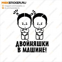 Наклейка - Двойняшки в машине