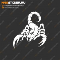 Скорпион на авто