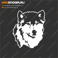 Волк на авто