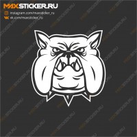 Наклейка на авто - Бульдог