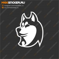 Волк на авто - Хаски