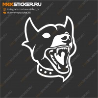 Собака на авто