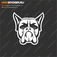 Наклейка на авто - Боксёр