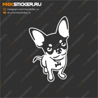 Наклейка на авто - Чихуахуа