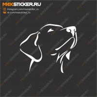 Наклейка на авто - Лабрадор