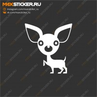 Наклейка на авто - Чихуахуа