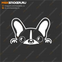 Наклейка - Выглядывающая собака