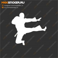 Наклейка на авто - Каратэ